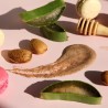 Gommage Corps Miel, Aloe vera, poudre d'amandes