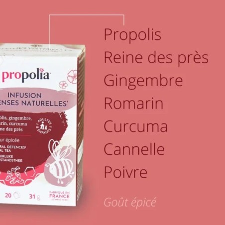 Infusion Défenses naturelles Bio Propolis & Plantes