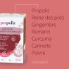 Infusion Défenses naturelles Bio Propolis & Plantes