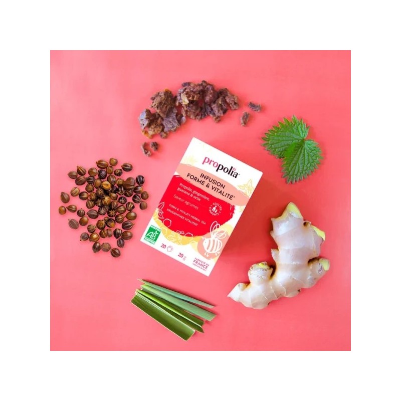 Infusion Forme & Vitalité Bio Propolis & Plantes