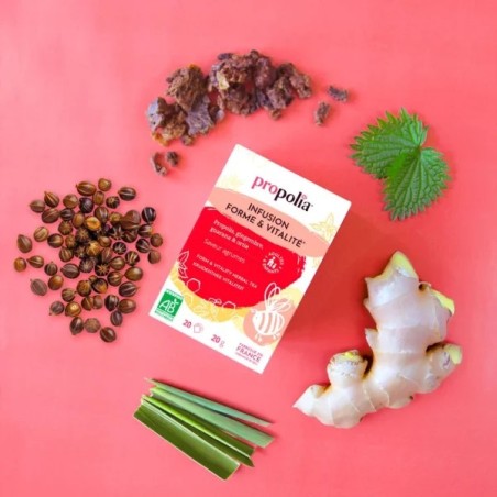 Infusion Forme & Vitalité Bio Propolis & Plantes