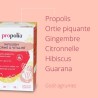 Infusion Forme & Vitalité Bio Propolis & Plantes