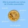 Baume des 4 saisons® certifié Bio Propolis, Lavandin & Romarin Baume des 4 saisons® certifié Bio Propolis, Lavandin & Romarin