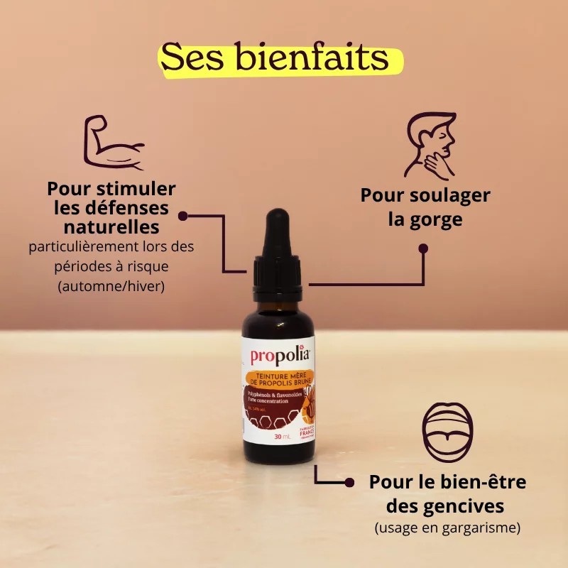 Teinture mère de Propolis ultra concentrée