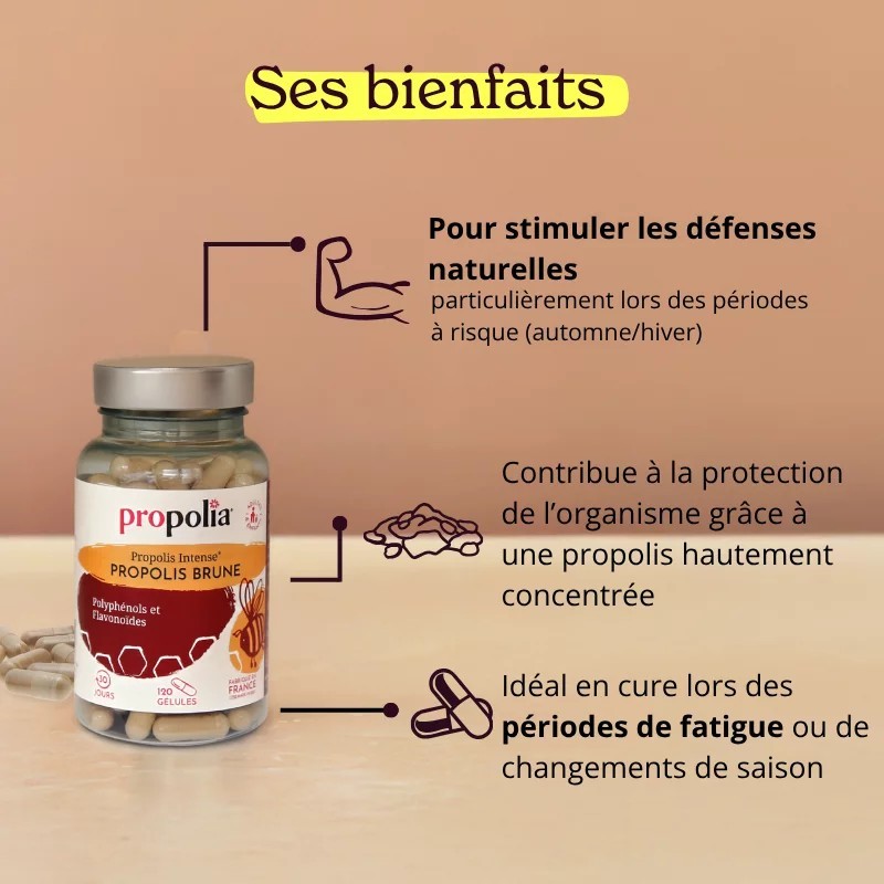 Gélules de Propolis Brune - Propolis Ultra®