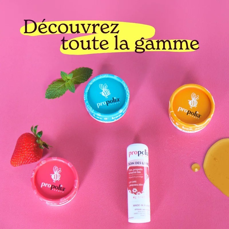 Baume à lèvres Propolis & Karité