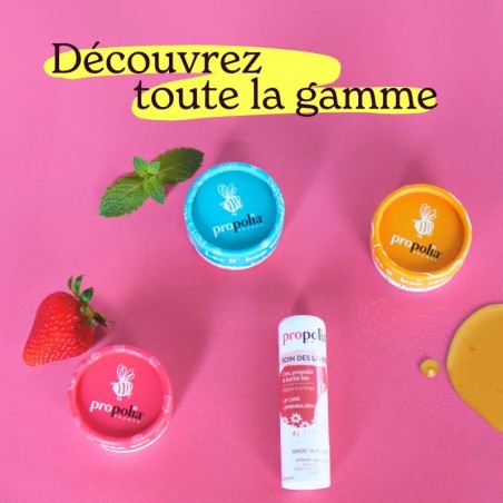 Baume à lèvres Propolis & Karité